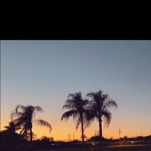 Meet your Posher, Kamdyn